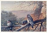 Wood Pigeons in Beech Tree by Archibald Thorburn